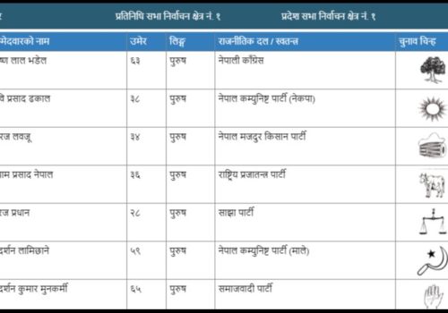 भक्तपुर प्रदेशसभामा कांग्रेसका भडेल विजयी