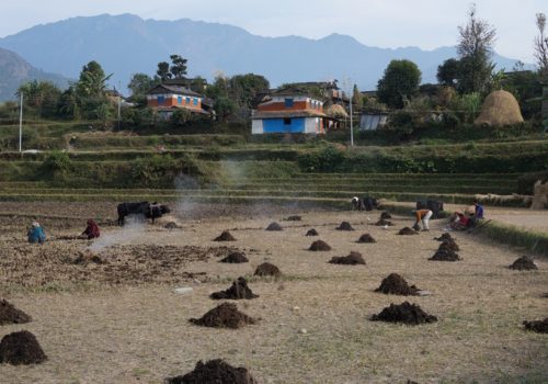 लकडाउनमा पनि गाउँमा खेतिपाती गर्न नरोक