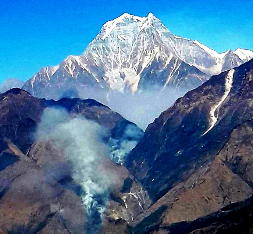 निलगिरी हिमालफेदीमा भिषण डढेलो