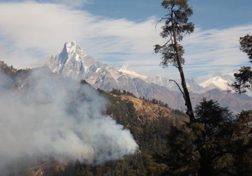 संसारकै ठूलो लालीगुराँश जंगलमा लागेको डढेलो ५ दिनदेखी नियन्त्रण बाहिर