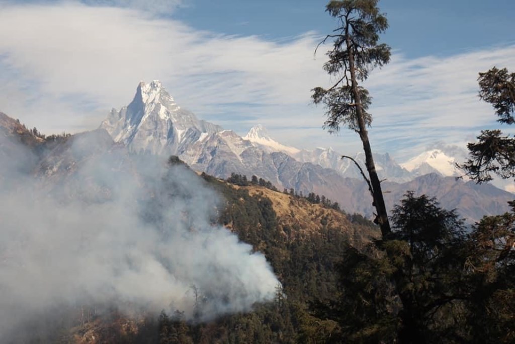 संसारकै ठूलो लालीगुराँश जंगलमा लागेको डढेलो ५ दिनदेखी नियन्त्रण बाहिर