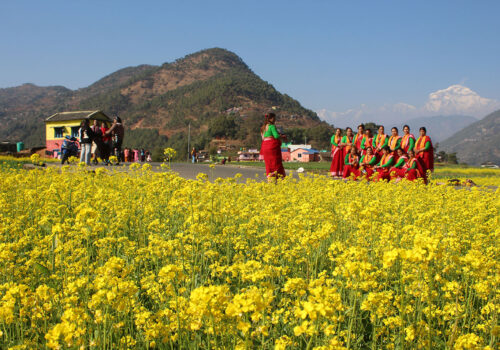 फाेटाे, भिडियाे र टिकटक खिच्न रत्नेचौरमा भीड