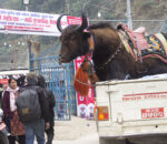 म्याग्दी महोत्सवलाई जनताको प्रश्नै प्रश्न