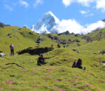 हिमालमुनी मुस्कुराएकाे मनसुन सौन्दर्य